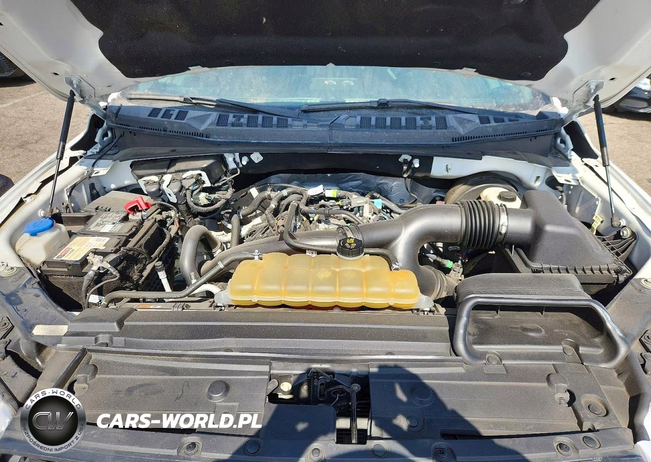 2020 Ford F150 Supercrew VIN:1FTEW1CP3LKE39298 - 11