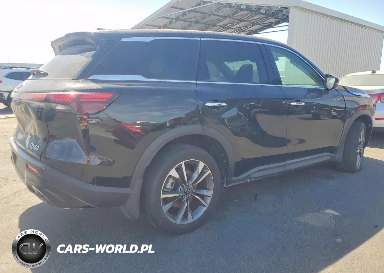 2025 Infiniti Qx60 Pure VIN:5N1AL1ES0SC331122 - 3