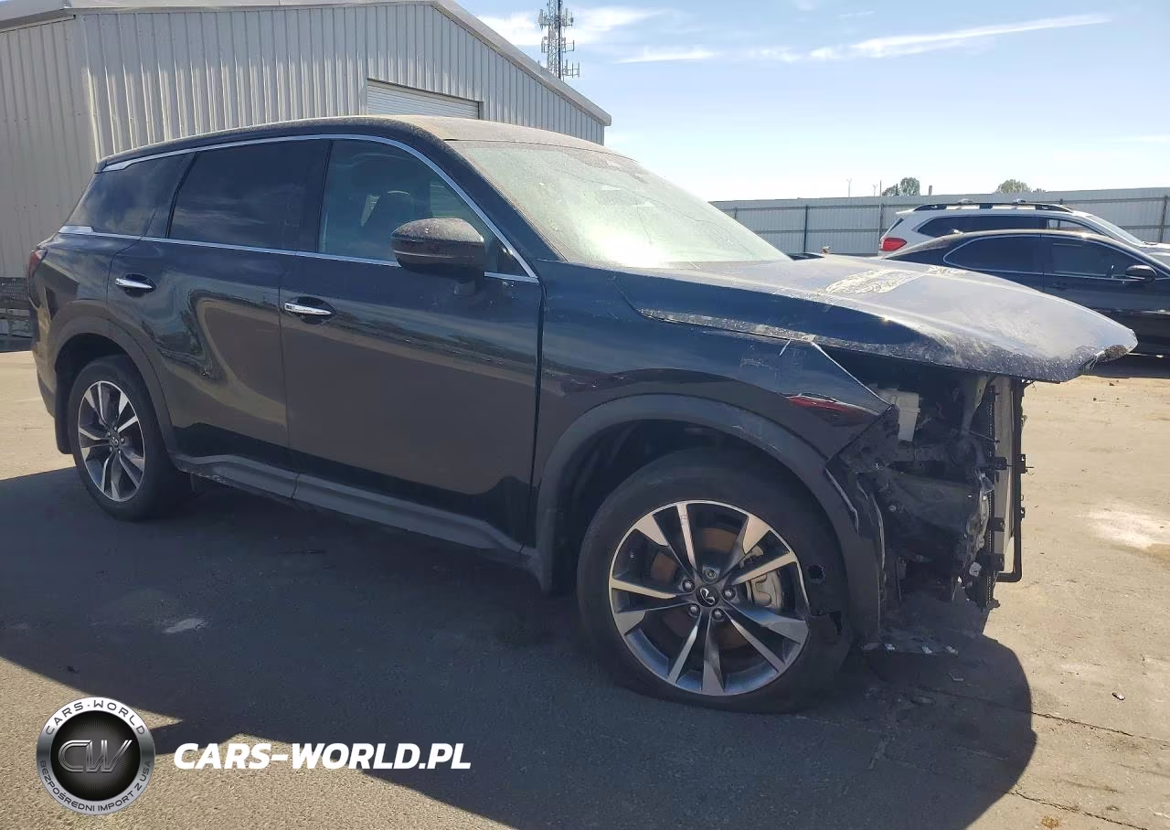 2025 Infiniti Qx60 Pure VIN:5N1AL1ES0SC331122 - 4