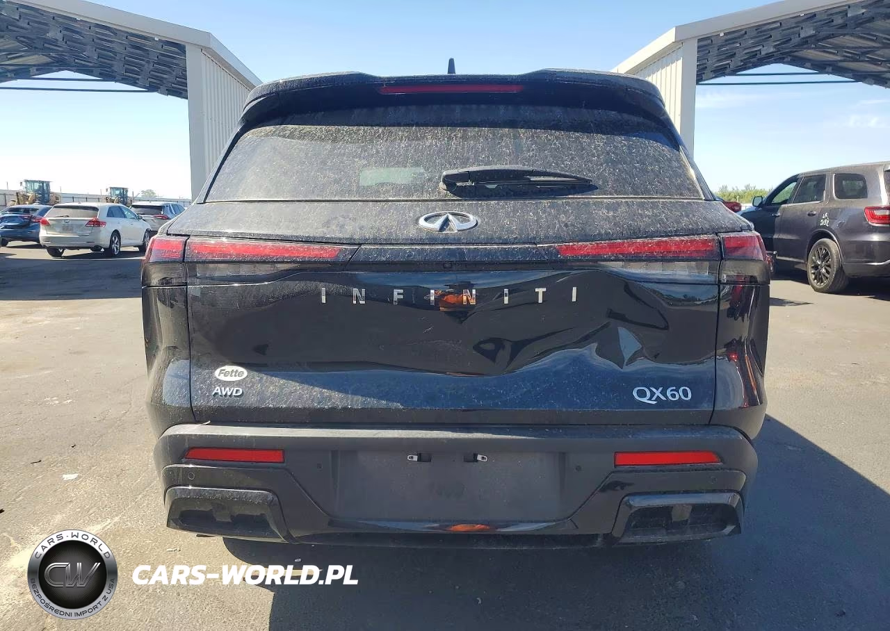 2025 Infiniti Qx60 Pure VIN:5N1AL1ES0SC331122 - 6