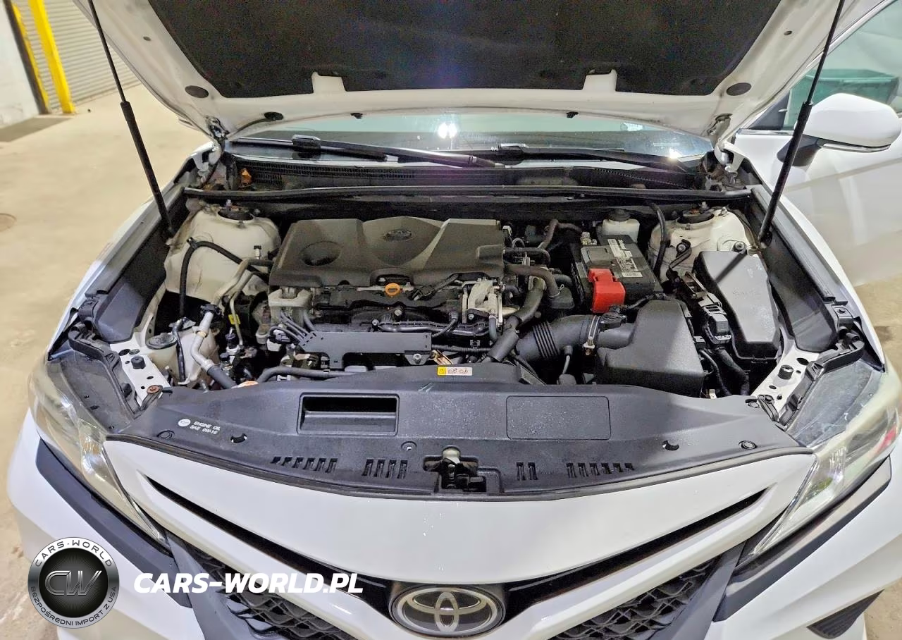 2019 Toyota Camry Se VIN:4T1B11HK2KU770418 - 11