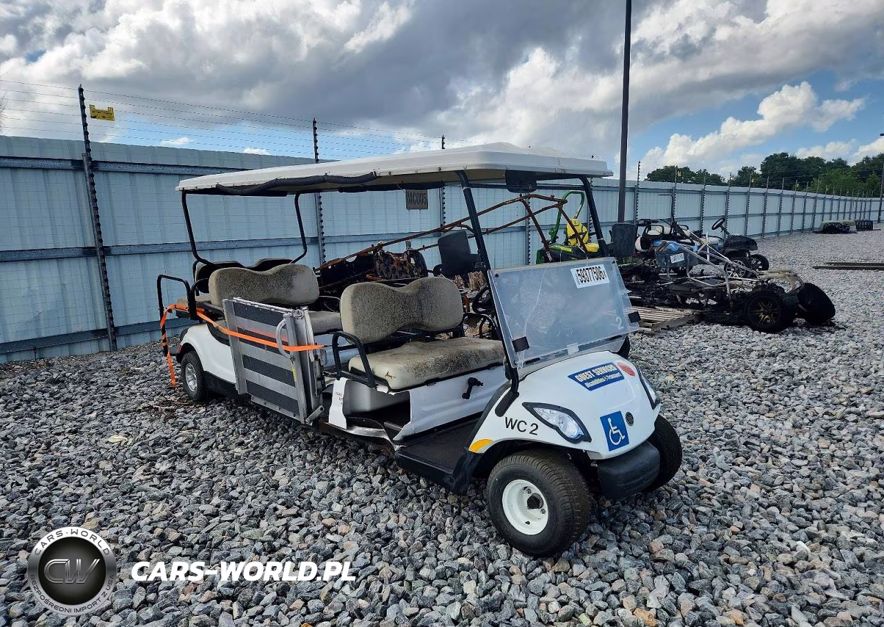 2016 Golf Cart – zdjęcie 1 z 10