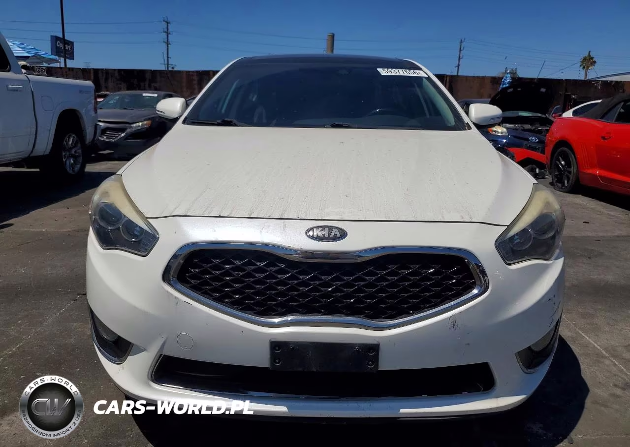 2014 Kia Cadenza Premium VIN:KNALN4D75E5131588 - 5