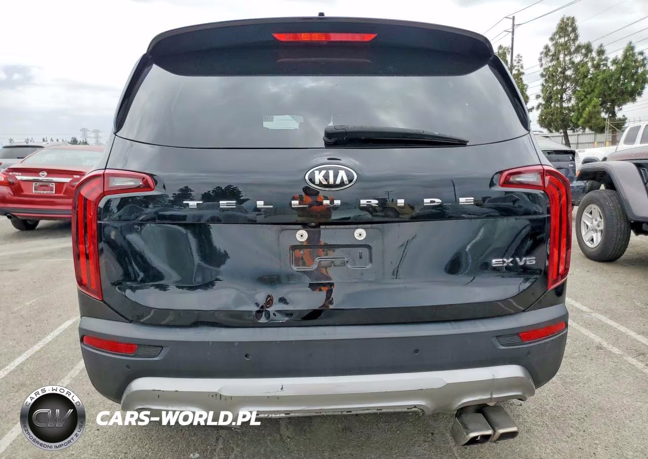 2021 Kia Telluride Ex VIN:5XYP34HC2MG184272 - 6