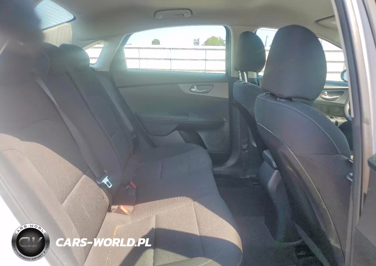 2019 Kia Forte Lxs VIN:3KPF24AD1KE096373 - 10