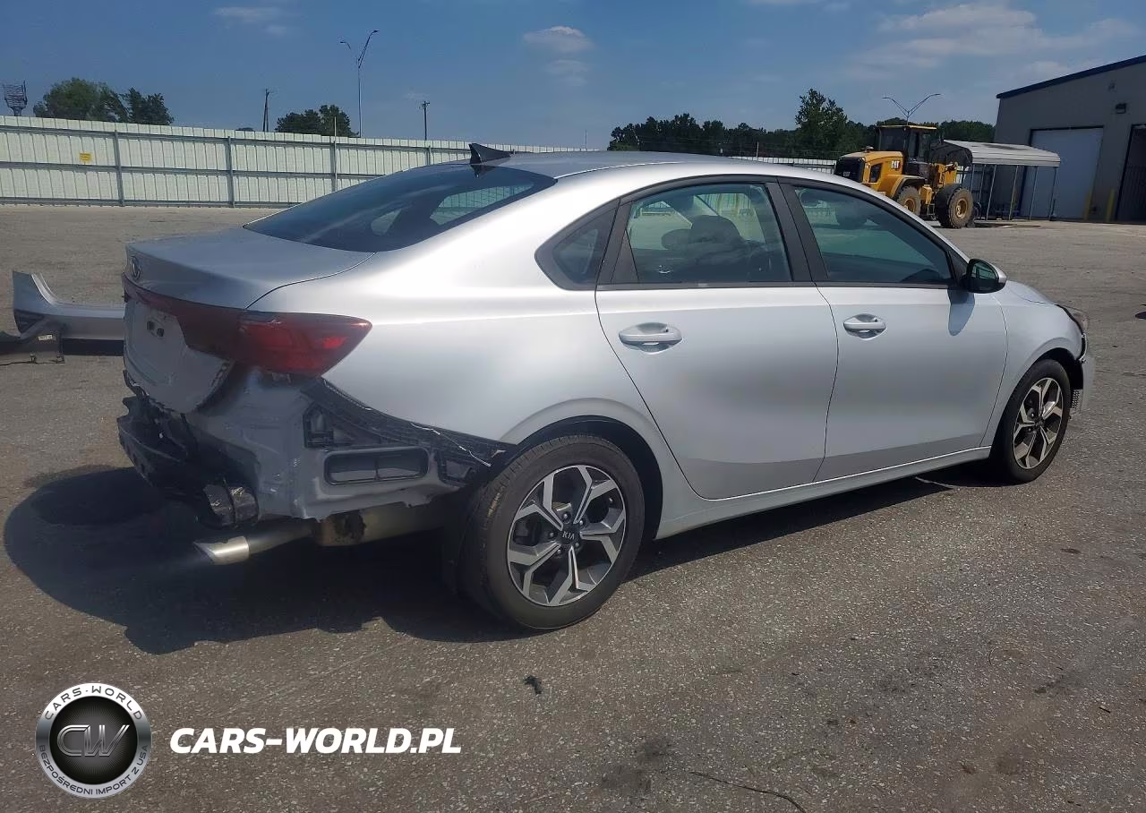 2019 Kia Forte Lxs VIN:3KPF24AD1KE096373 - 3