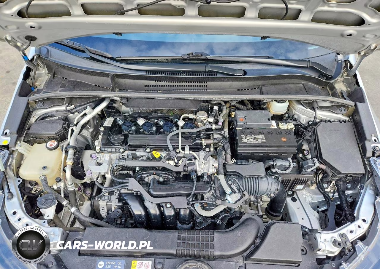 2019 Toyota Corolla Se VIN:JTNK4RBE3K3060667 - 12