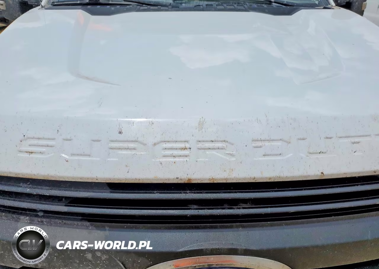 2019 Ford F250 Super Duty VIN:1FT7X2B60KEE82806 - 11