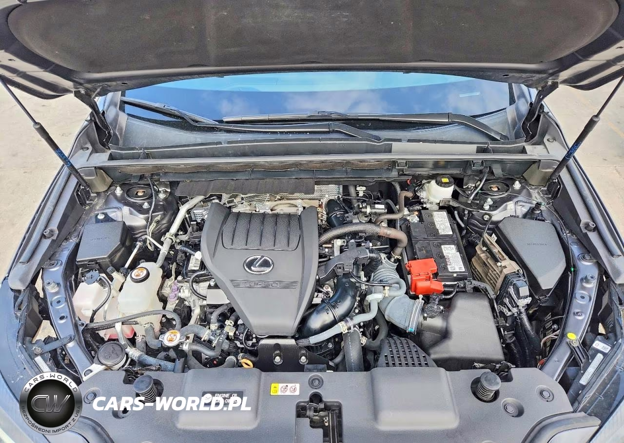 2024 Lexus Nx 350 VIN:2T2AGCEZ3RC037700 - 12