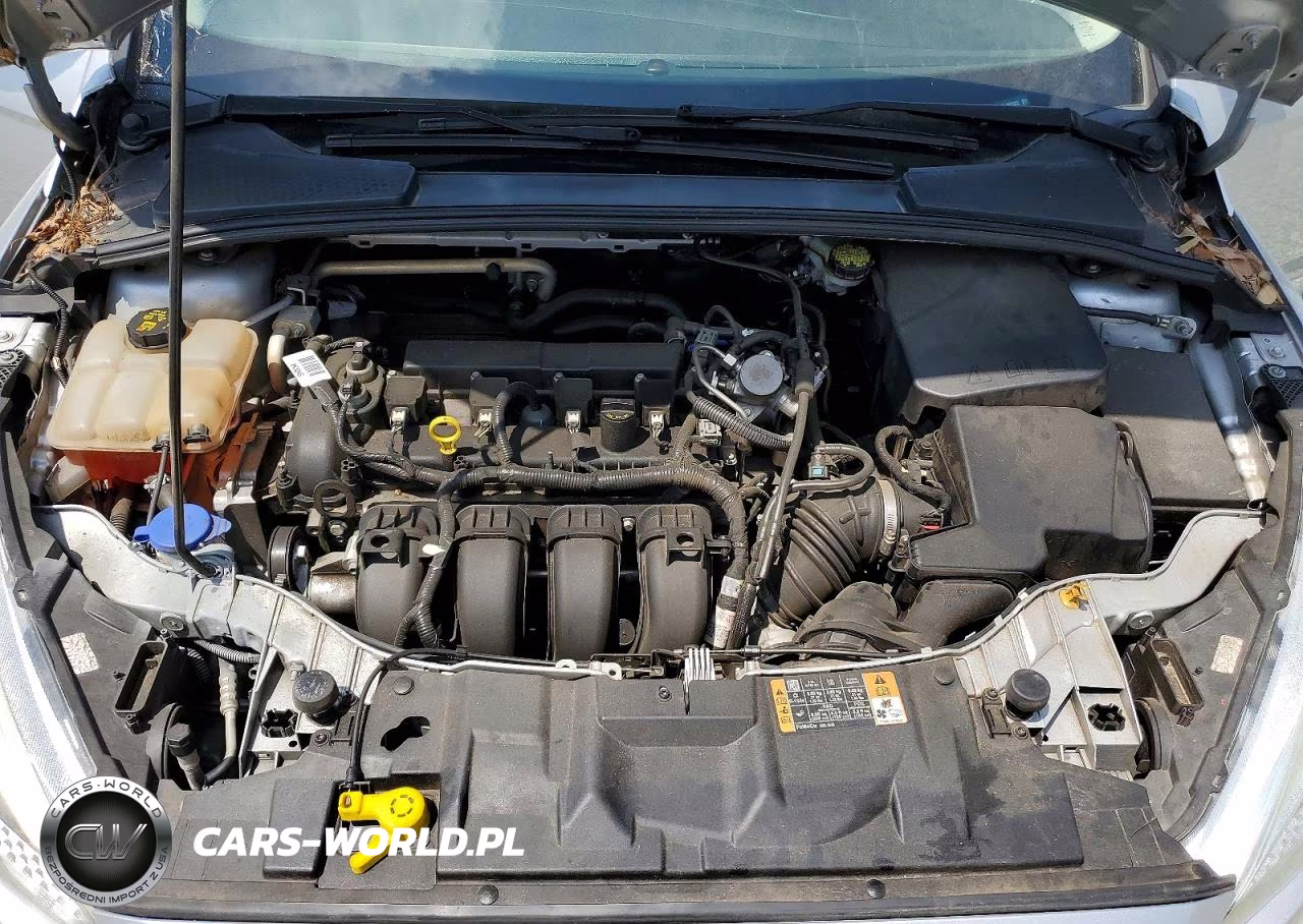 2016 Ford Focus Se VIN:1FADP3K21GL385323 - 11