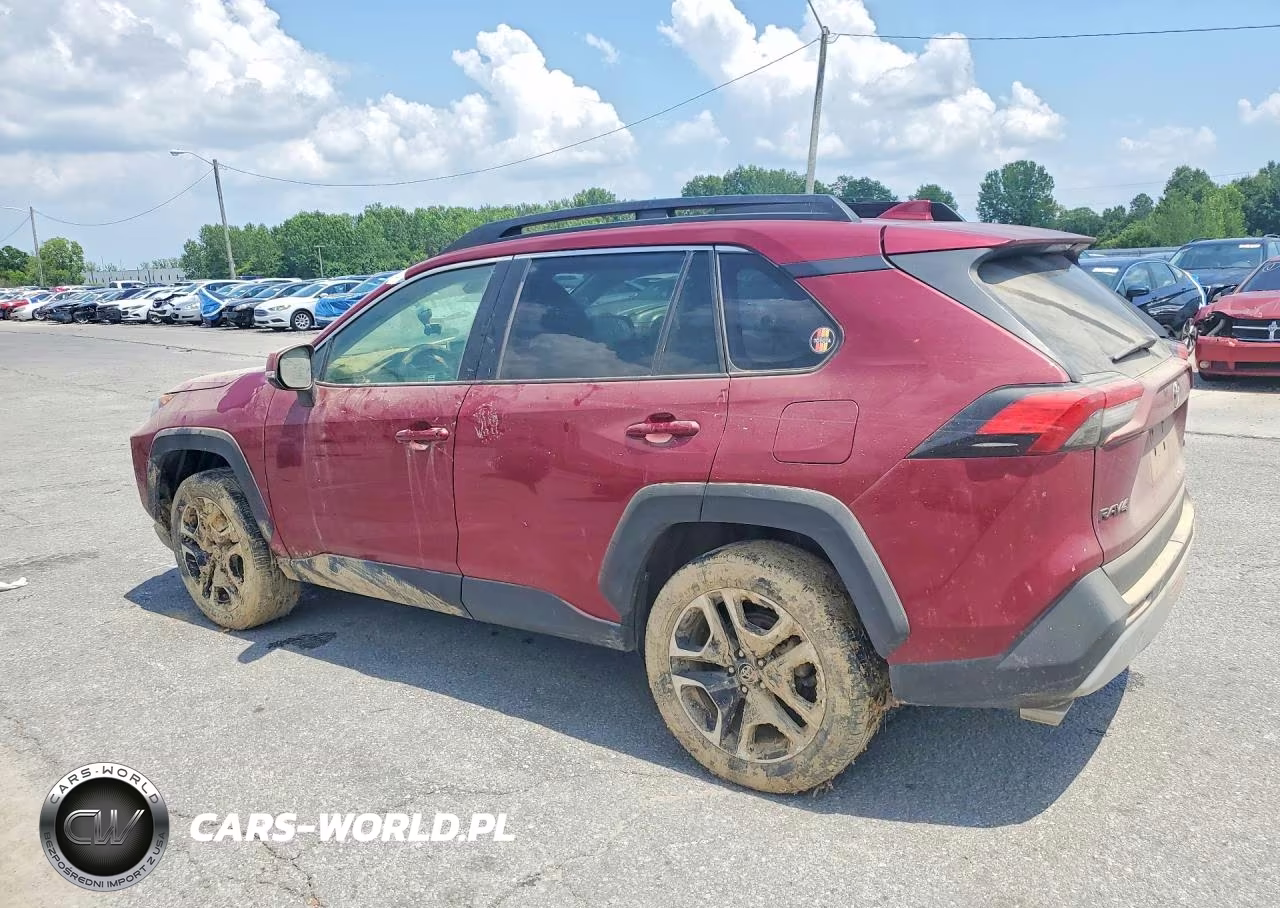 2019 Toyota Rav4 Le VIN:2T3J1RFV5KW071444 - 2
