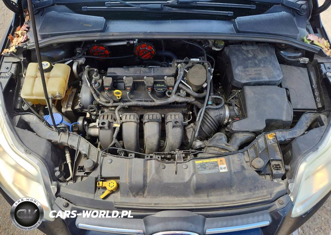 2013 Ford Focus Se VIN:1FADP3F24DL272715 - 11