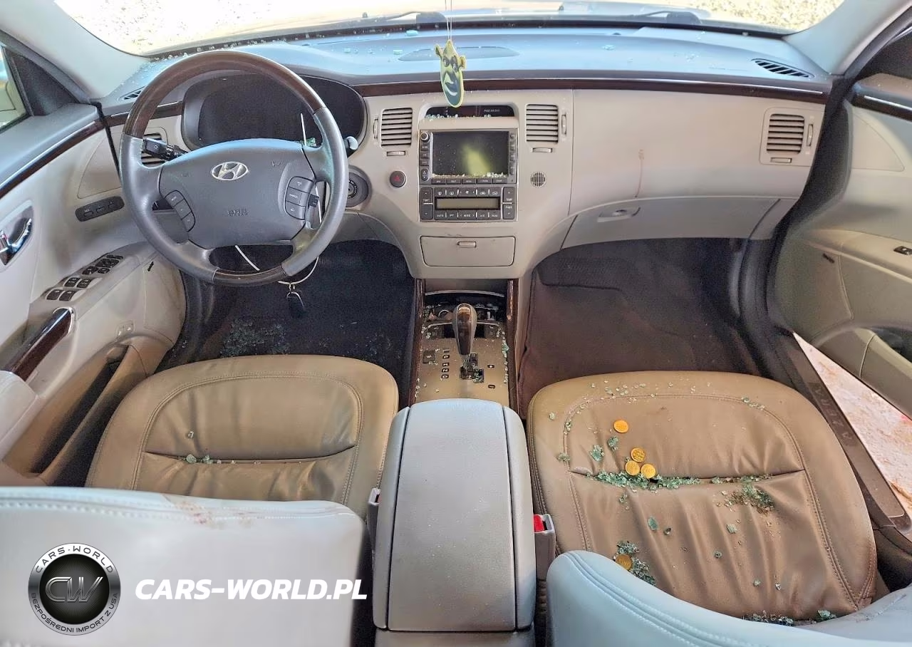 2010 Hyundai Azera Limited VIN:KMHFC4DF6AA483203 - 8