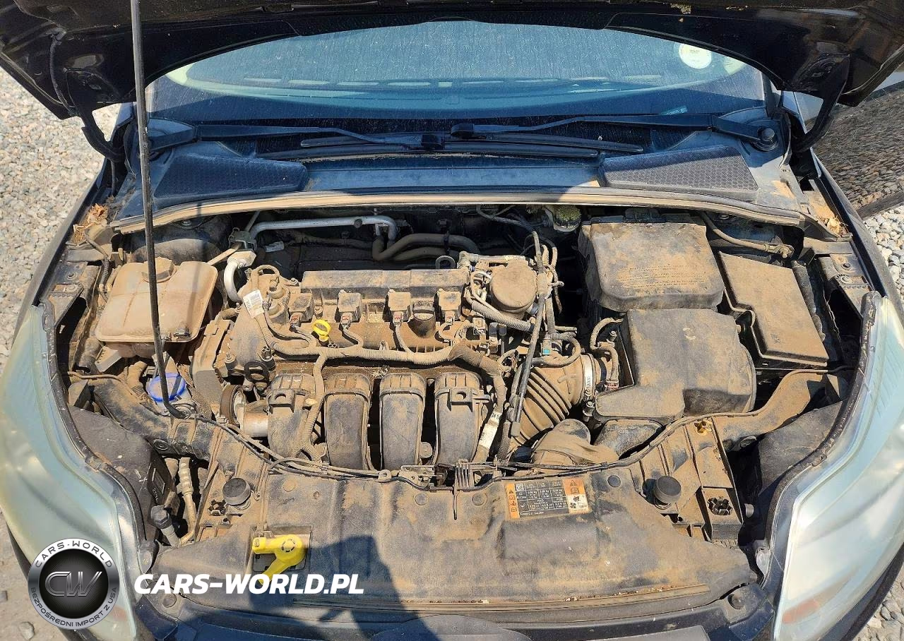 2014 Ford Focus Se VIN:1FADP3K2XEL390775 - 11