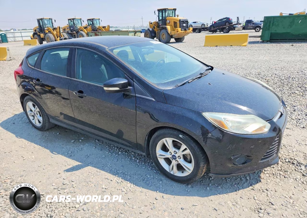 2014 Ford Focus Se VIN:1FADP3K2XEL390775 - 4