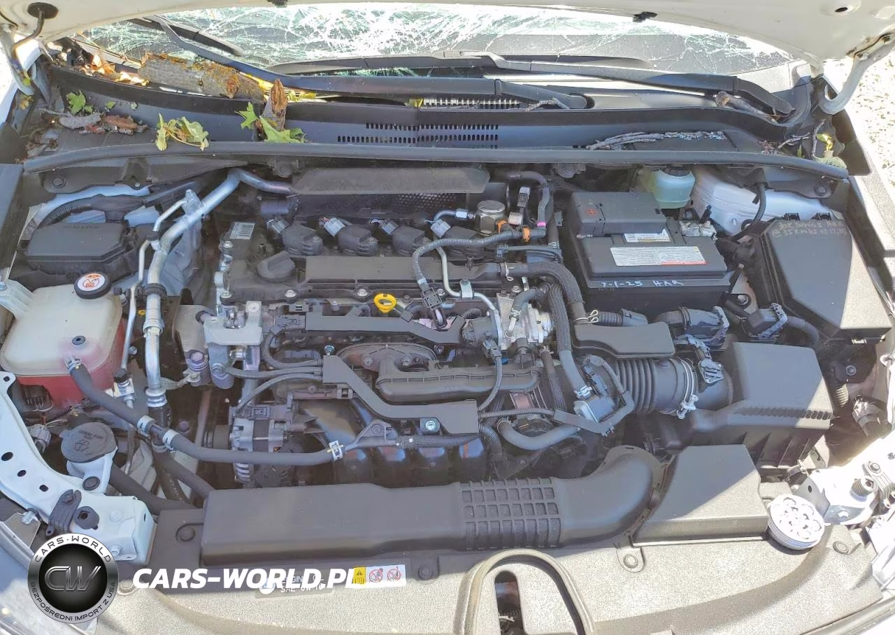 2020 Toyota Corolla Se VIN:JTDS4RCEXLJ028766 - 11