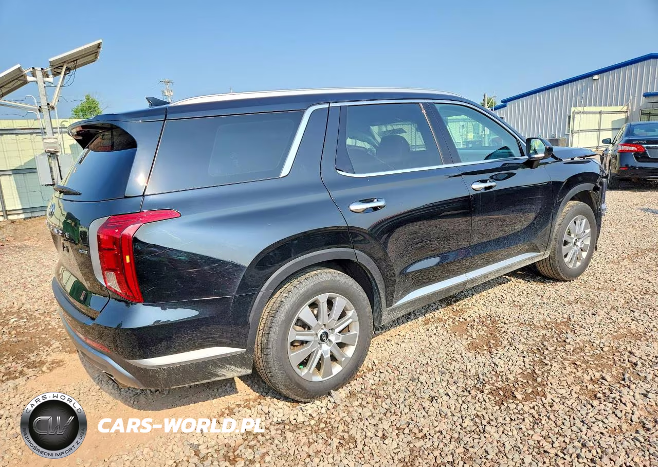 2025 Hyundai Palisade Sel VIN:KM8R2DGE2SU876232 - 3