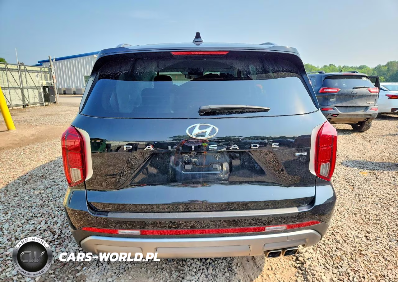 2025 Hyundai Palisade Sel VIN:KM8R2DGE2SU876232 - 6