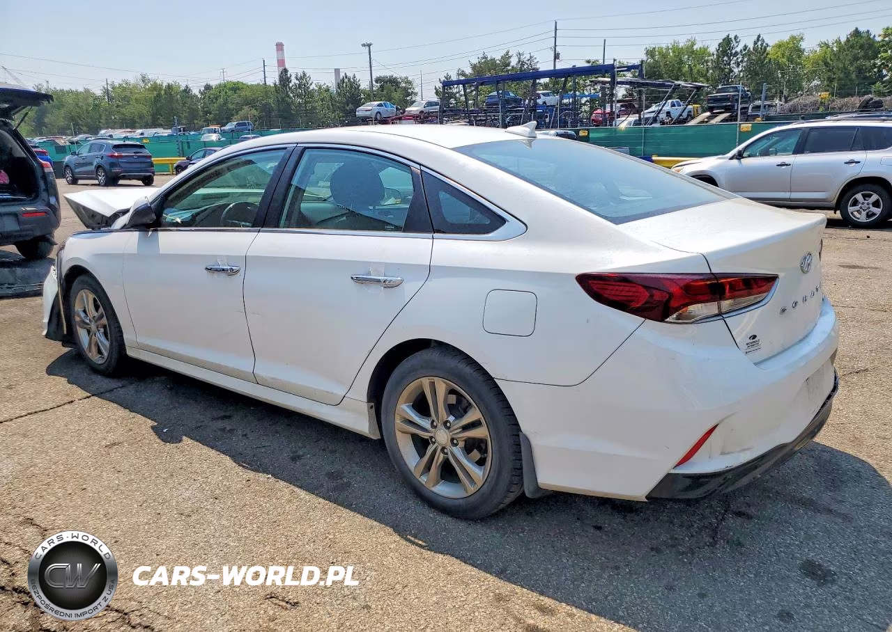2019 Hyundai Sonata Sel VIN:5NPE34AF4KH763295 - 2
