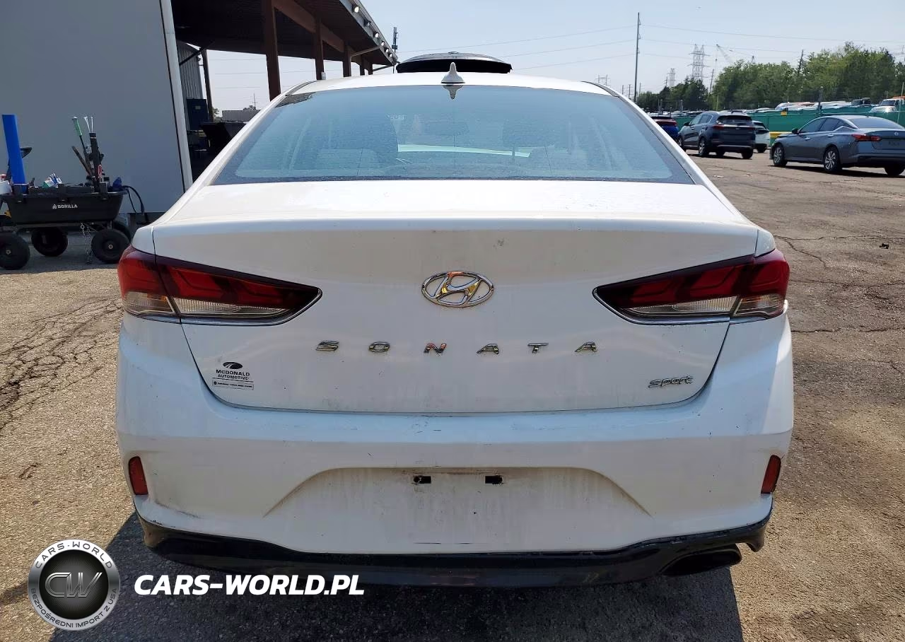 2019 Hyundai Sonata Sel VIN:5NPE34AF4KH763295 - 6