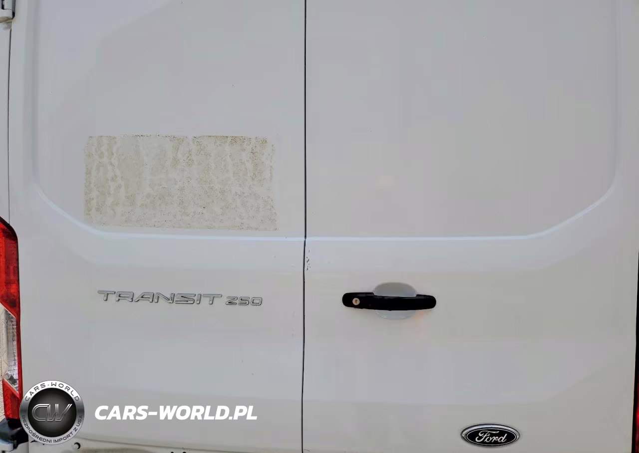 2025 Ford Transit 250 Delivery Van VIN:1FTBR3X81SKB10431 - 10