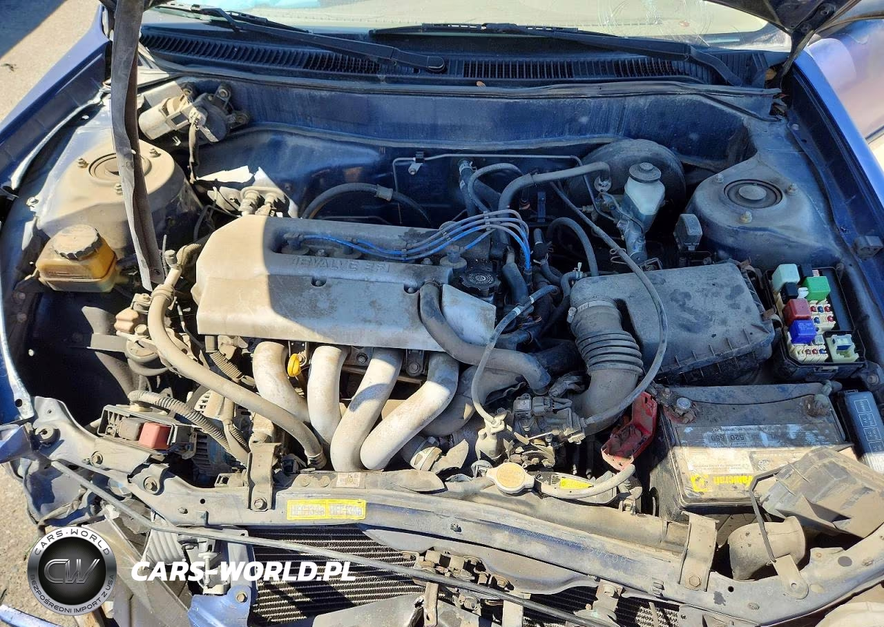 1998 Toyota Corolla Ve VIN:1NXBR12EXWZ090025 - 11