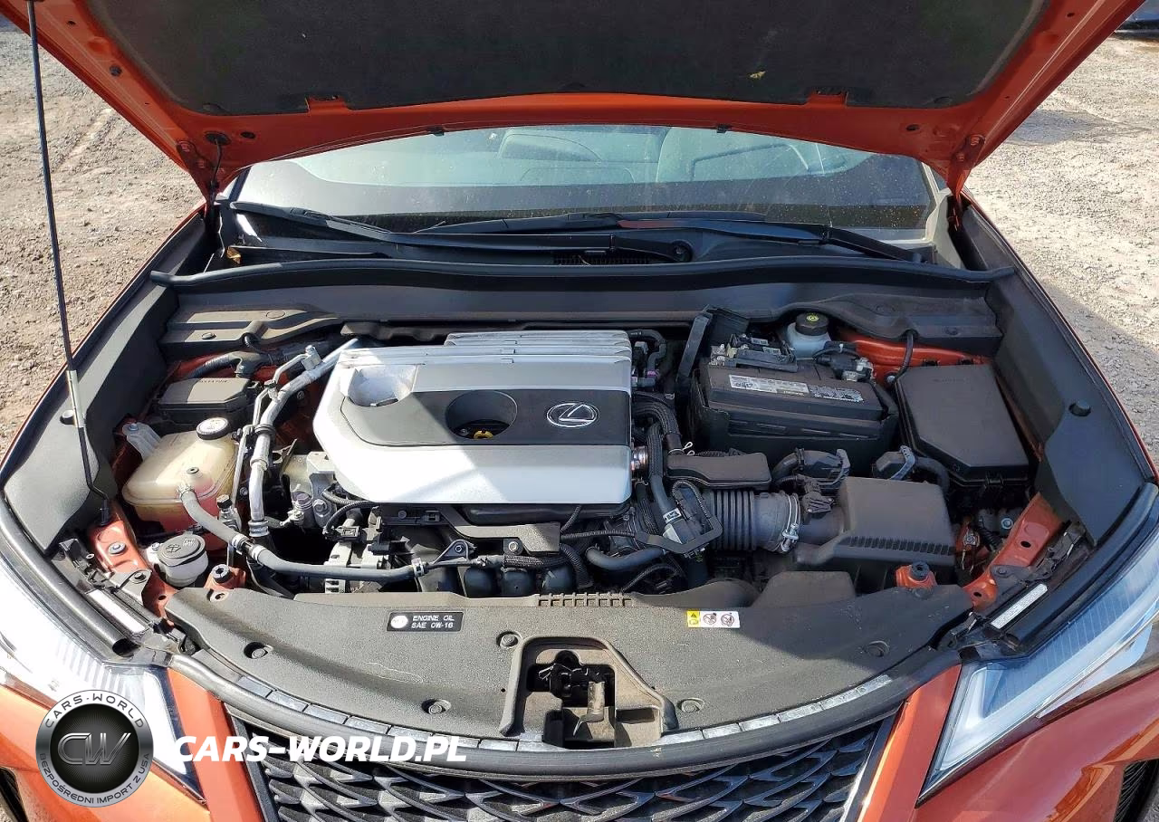 2019 Lexus Ux 200 VIN:JTHY3JBH3K2005072 - 12