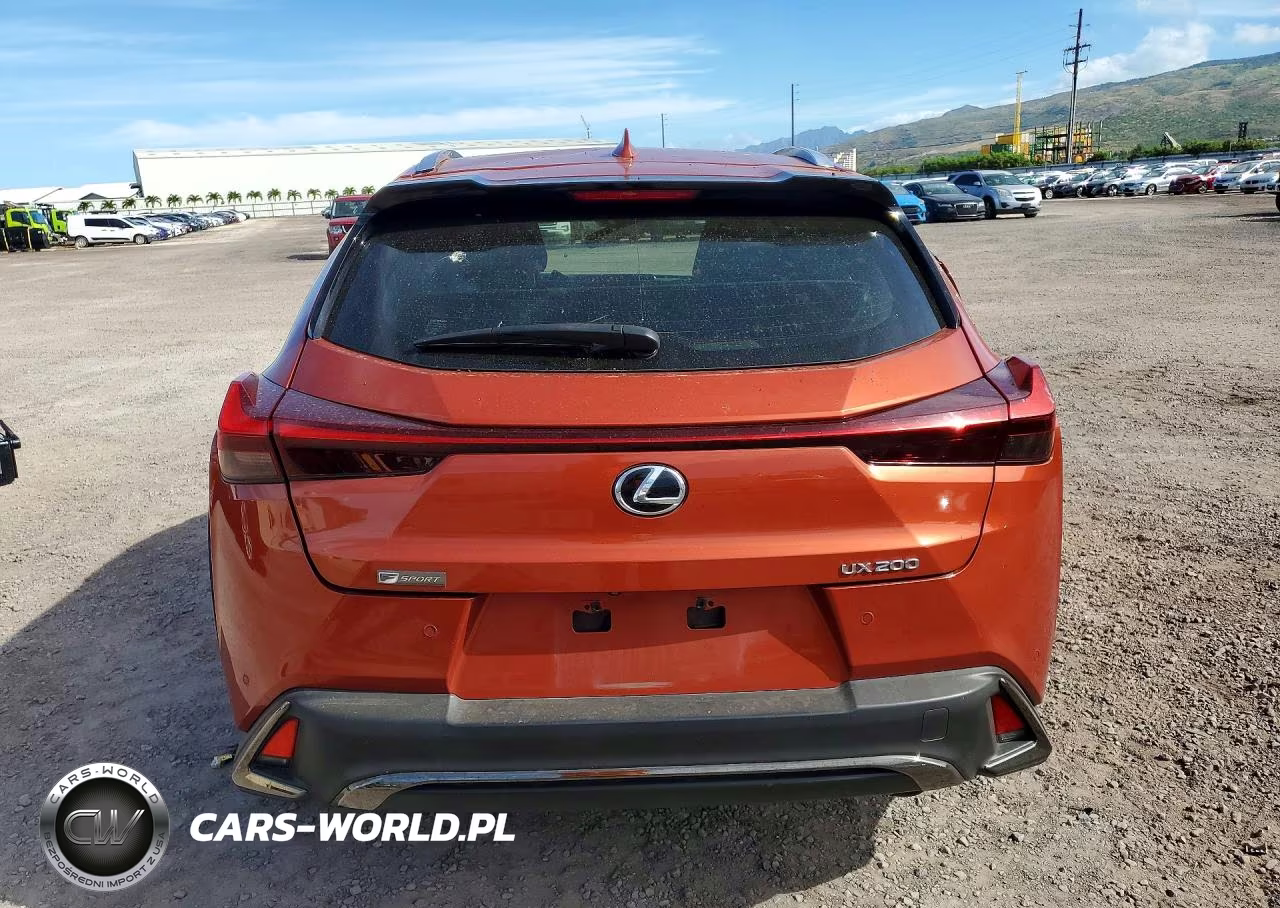 2019 Lexus Ux 200 VIN:JTHY3JBH3K2005072 - 6