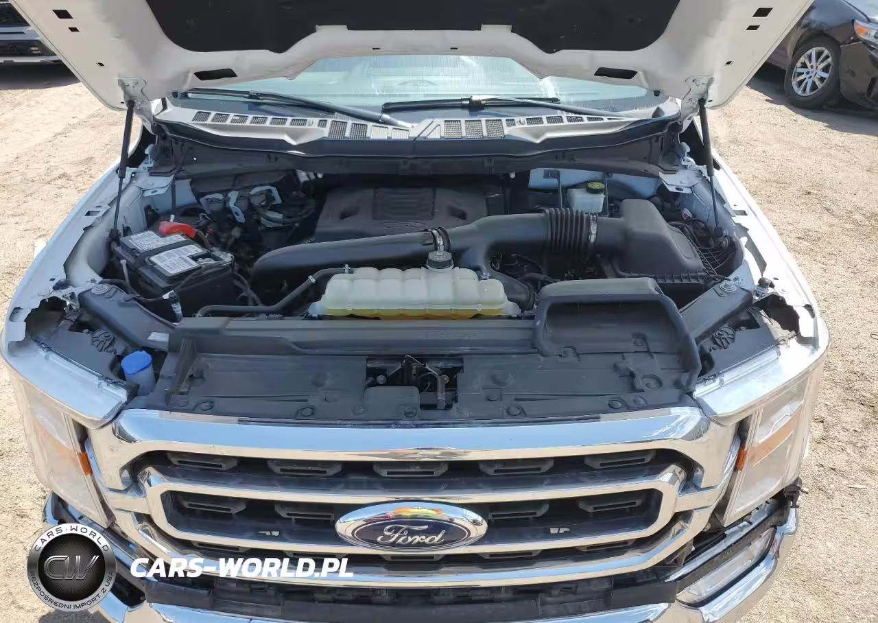 2023 Ford F150 Supercrew VIN:1FTFW1E84PKE60001 - 11