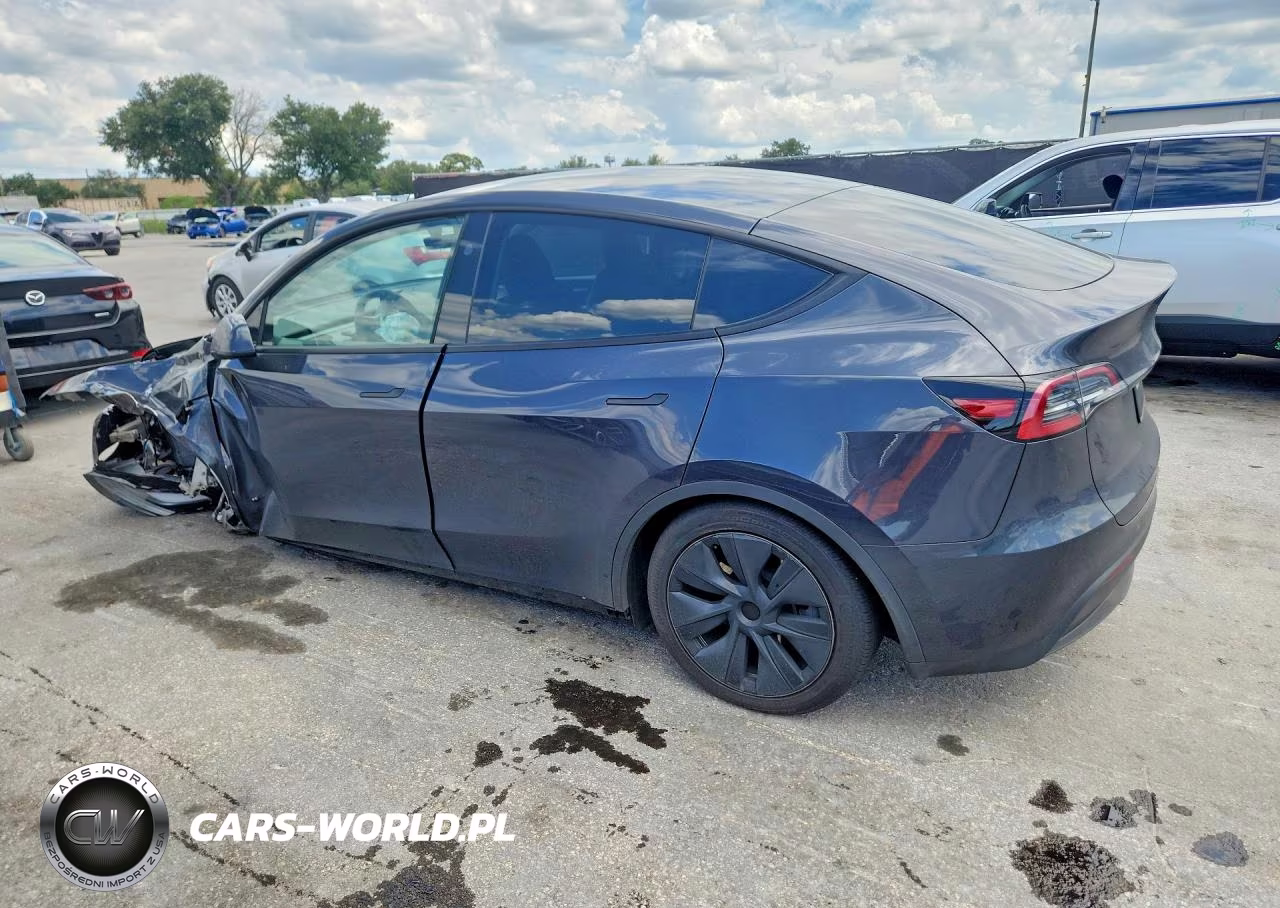 2024 Tesla Model Y VIN:7SAYGDED5RF161043 - 2