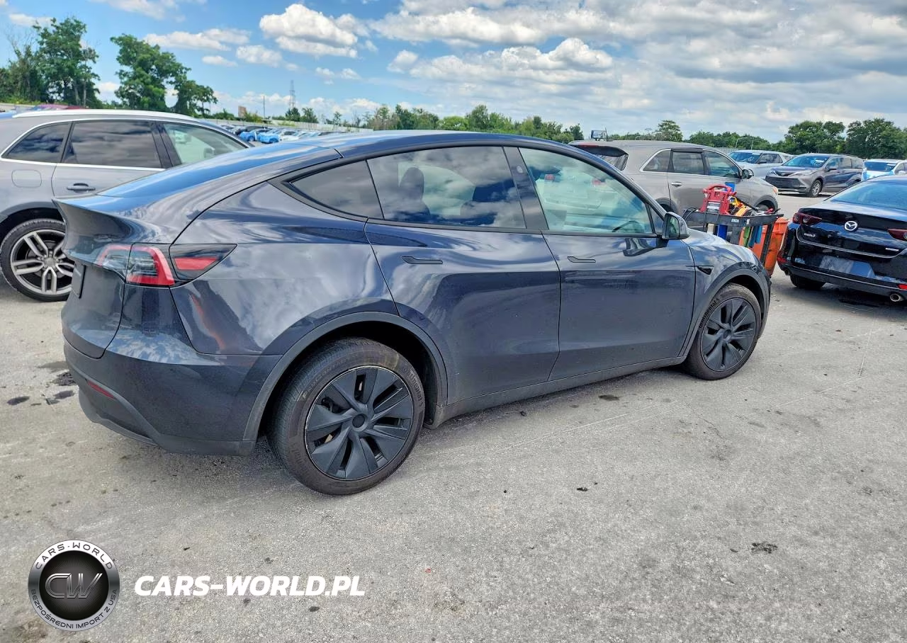2024 Tesla Model Y VIN:7SAYGDED5RF161043 - 3