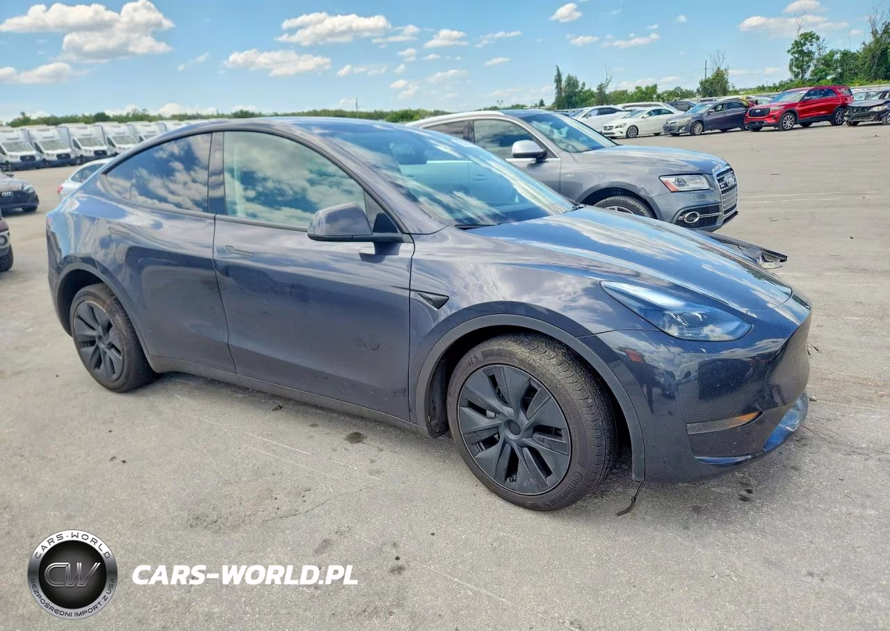 2024 Tesla Model Y VIN:7SAYGDED5RF161043 - 4