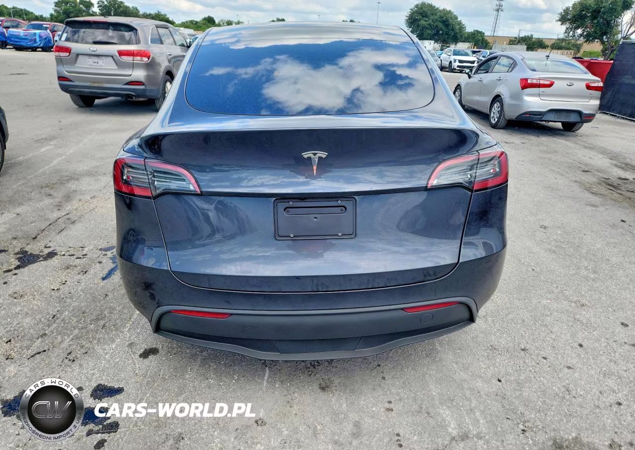 2024 Tesla Model Y VIN:7SAYGDED5RF161043 - 6