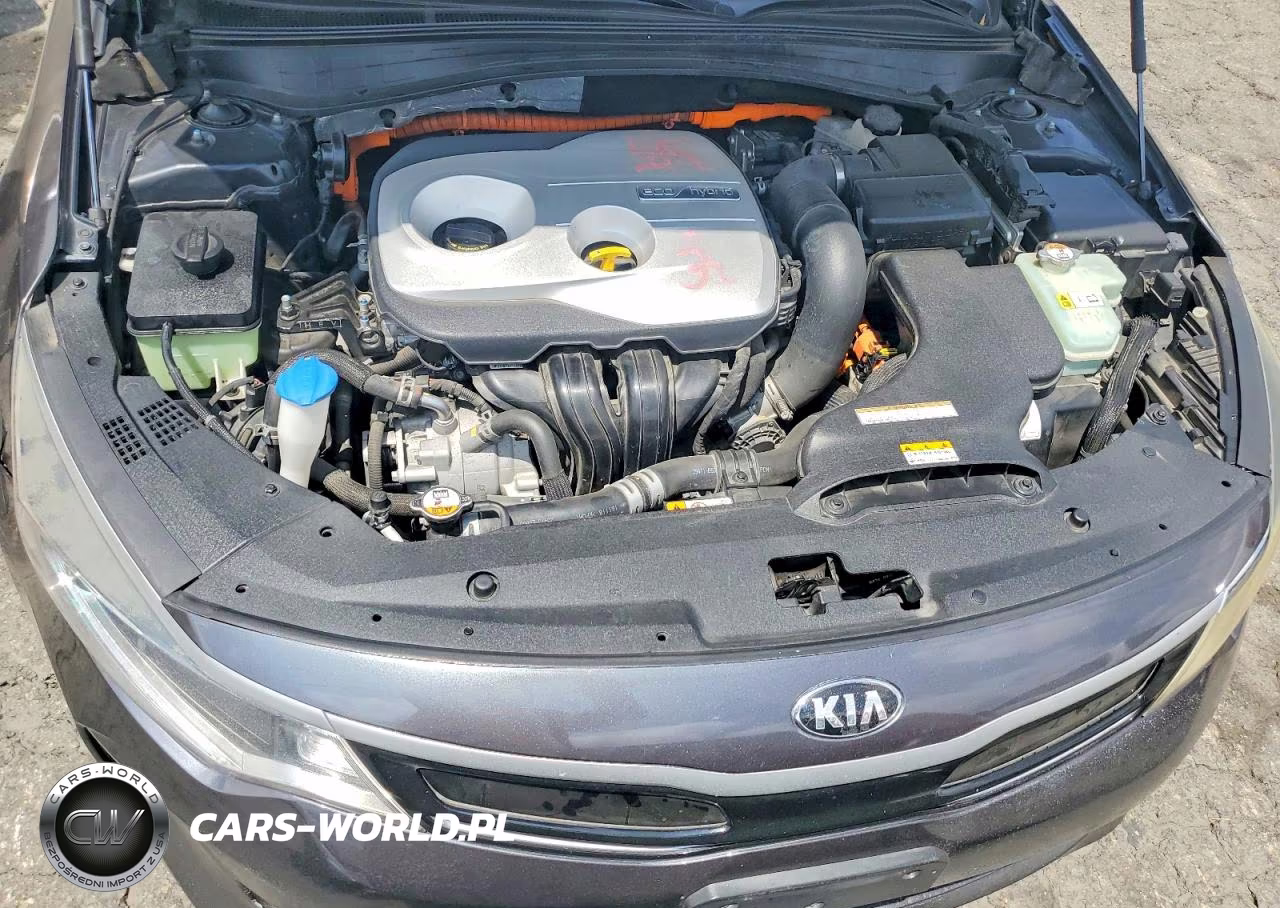 KIA OPTIMA HYBRID VIN:KNAGT4LE9H5011952 - 11