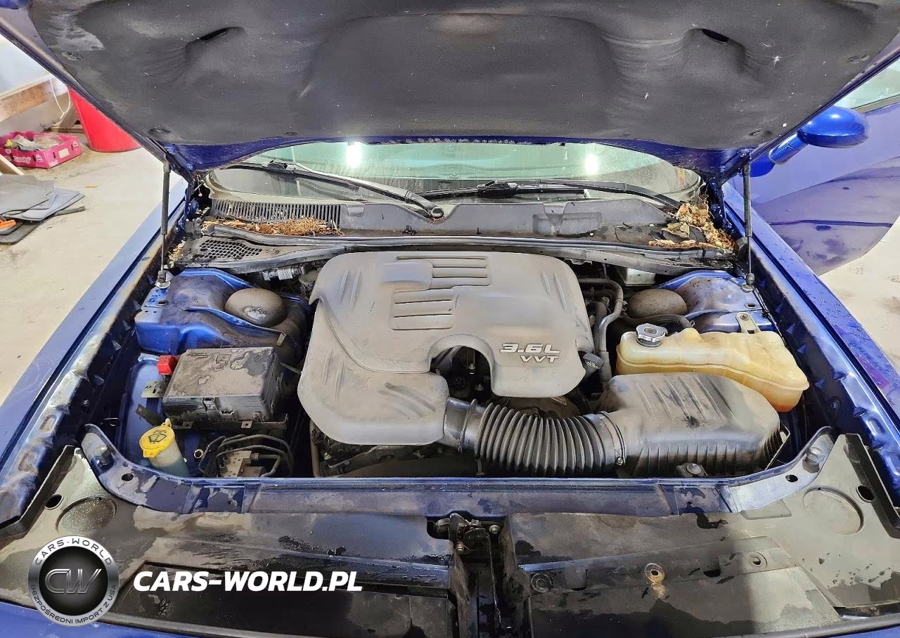 2019 Dodge Challenger Sxt VIN:2C3CDZGG8KH684694 - 11