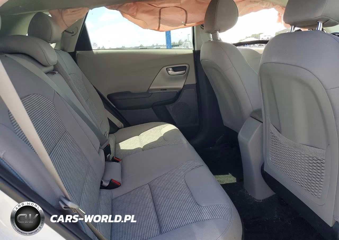 2019 Kia Niro Lx VIN:KNDCM3LD3K5323031 - 10