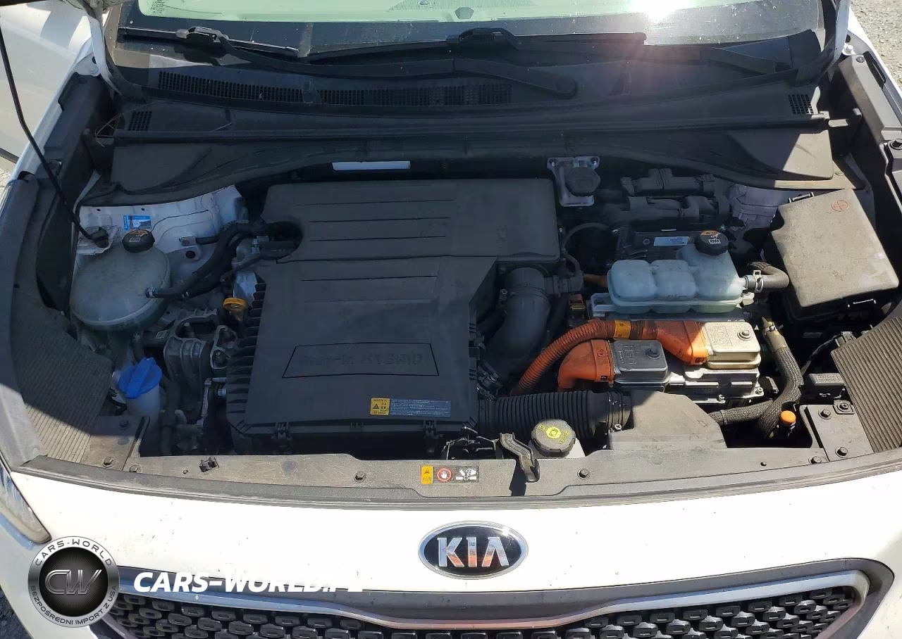 2019 Kia Niro Lx VIN:KNDCM3LD3K5323031 - 11