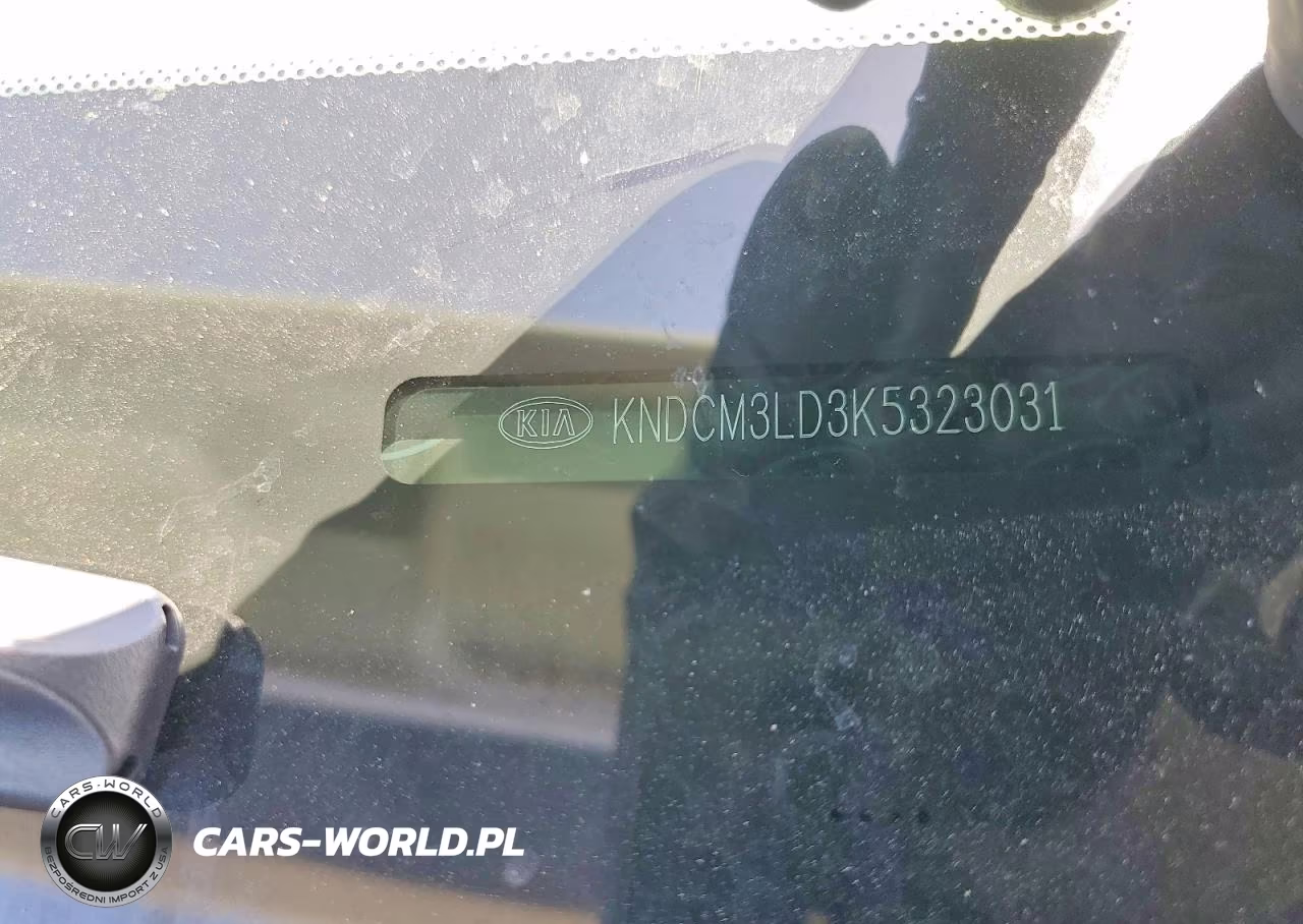 2019 Kia Niro Lx VIN:KNDCM3LD3K5323031 - 12