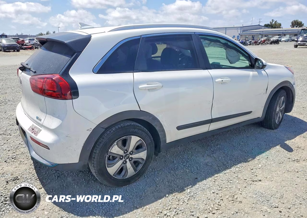 2019 Kia Niro Lx VIN:KNDCM3LD3K5323031 - 3