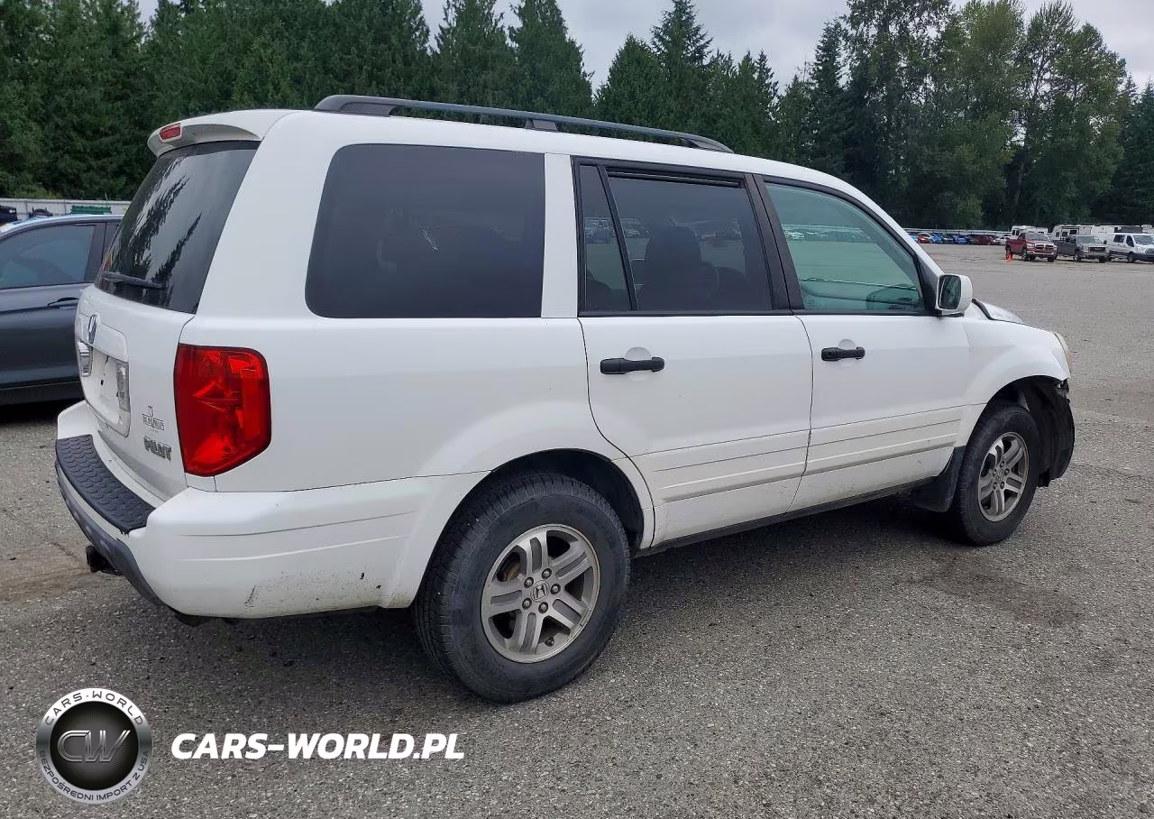 2005 Honda Pilot Exl VIN:5FNYF18555B034547 - 3