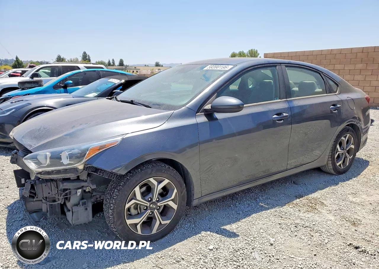 2019 Kia Forte Lxs