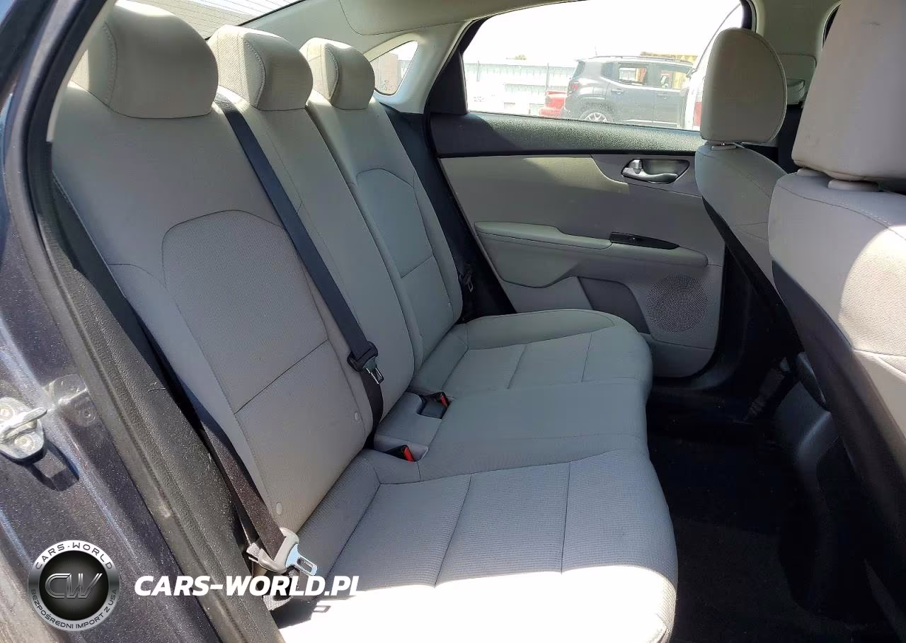 2019 Kia Forte Lxs VIN:3KPF24ADXKE115325 - 10
