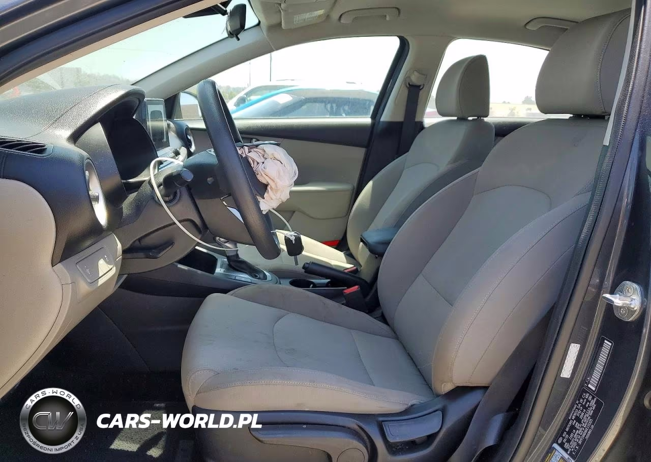 2019 Kia Forte Lxs VIN:3KPF24ADXKE115325 - 7