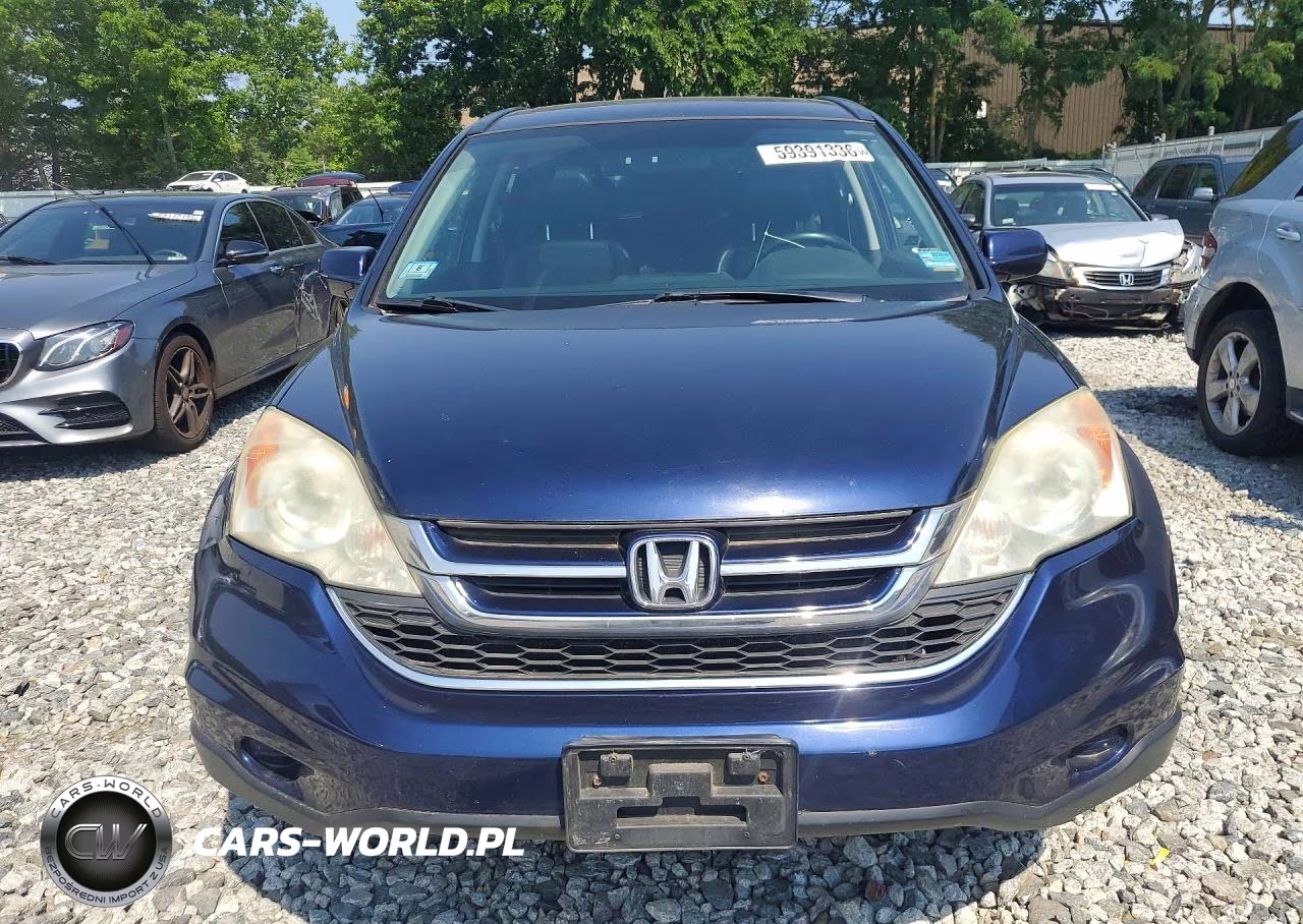 2010 Honda Cr-V Exl VIN:5J6RE4H79AL054893 - 5