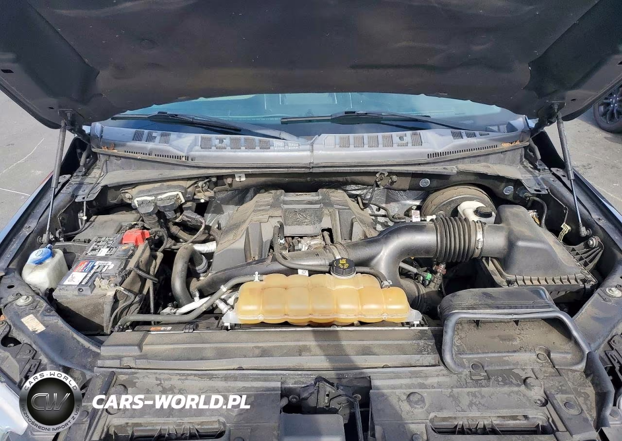 2016 Ford F150 Supercrew VIN:1FTEW1CP0GFC45861 - 11
