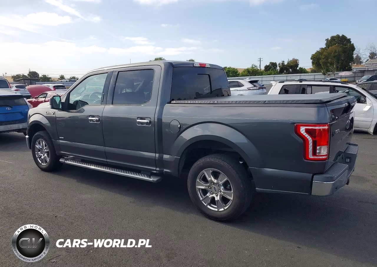 2016 Ford F150 Supercrew VIN:1FTEW1CP0GFC45861 - 2