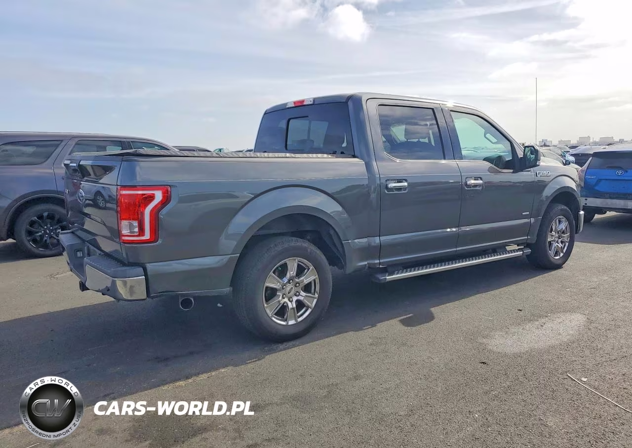 2016 Ford F150 Supercrew VIN:1FTEW1CP0GFC45861 - 3