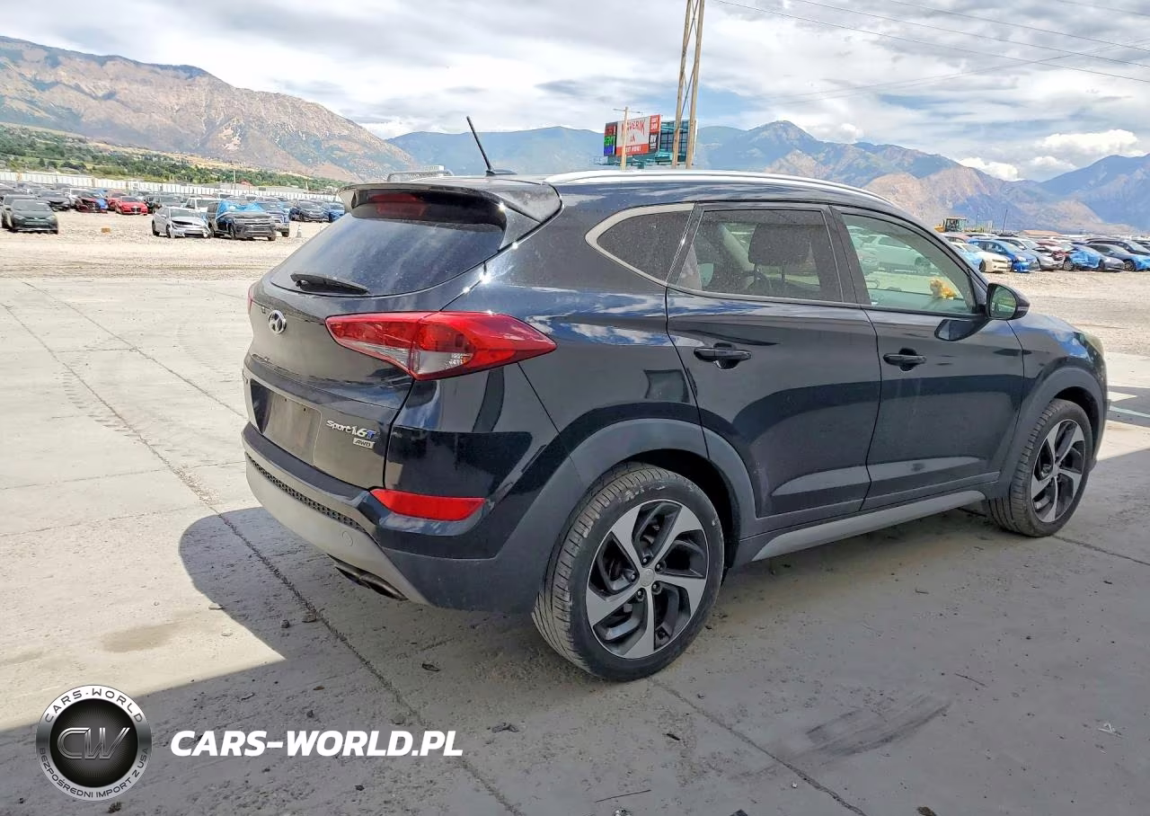 2017 Hyundai Tucson Sport VIN:KM8J3CA27HU274339 - 3