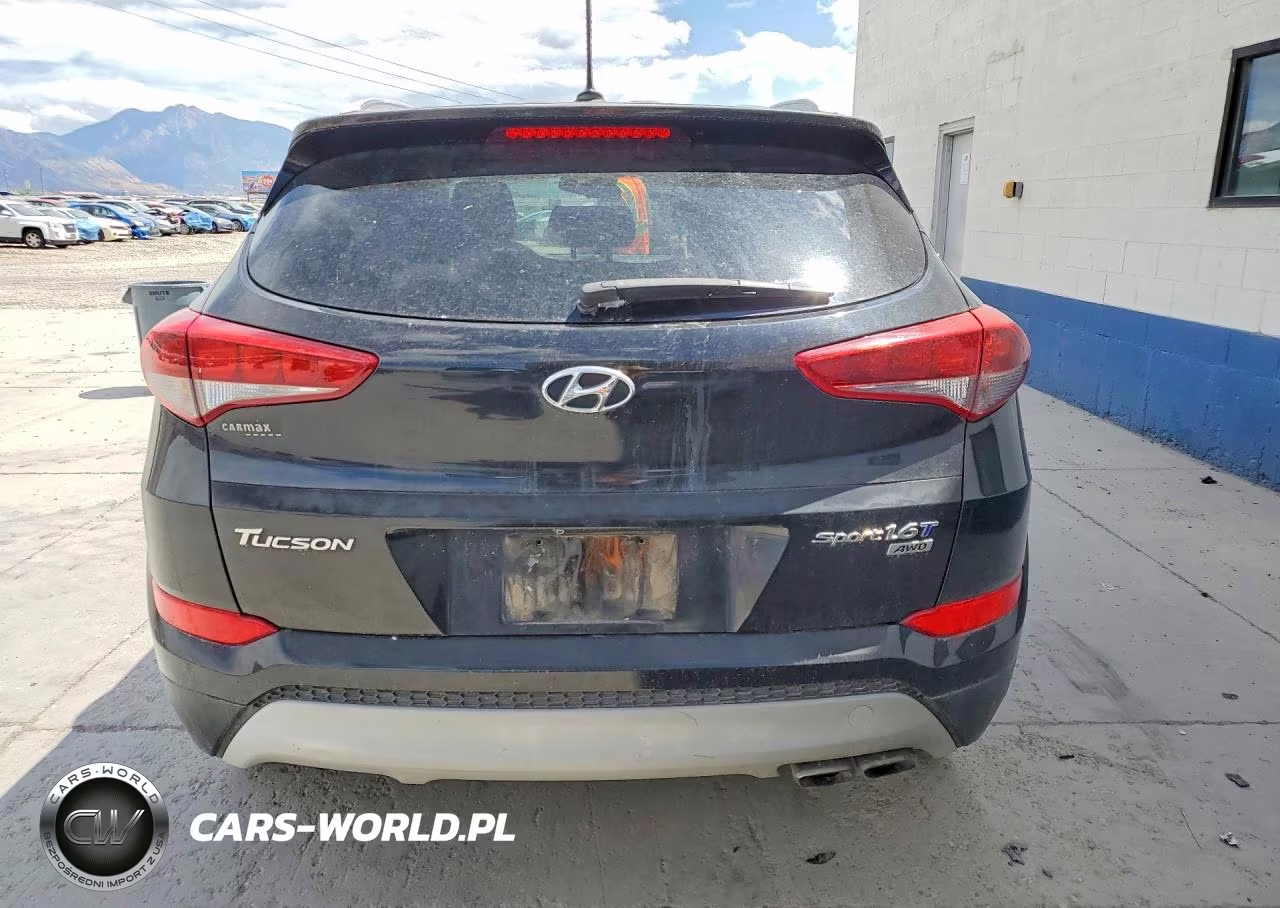 2017 Hyundai Tucson Sport VIN:KM8J3CA27HU274339 - 6