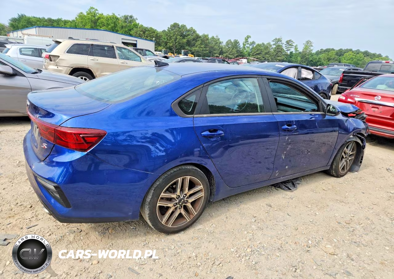 2019 Kia Forte S VIN:3KPF34AD5KE118047 - 3